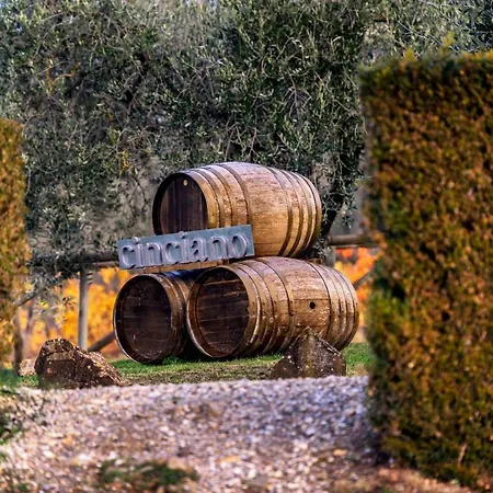 Fattoria Di Cinciano